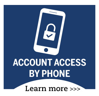 Learn more about Account Access by Phone