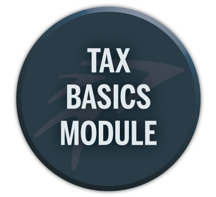 Taxes: the Basics Module