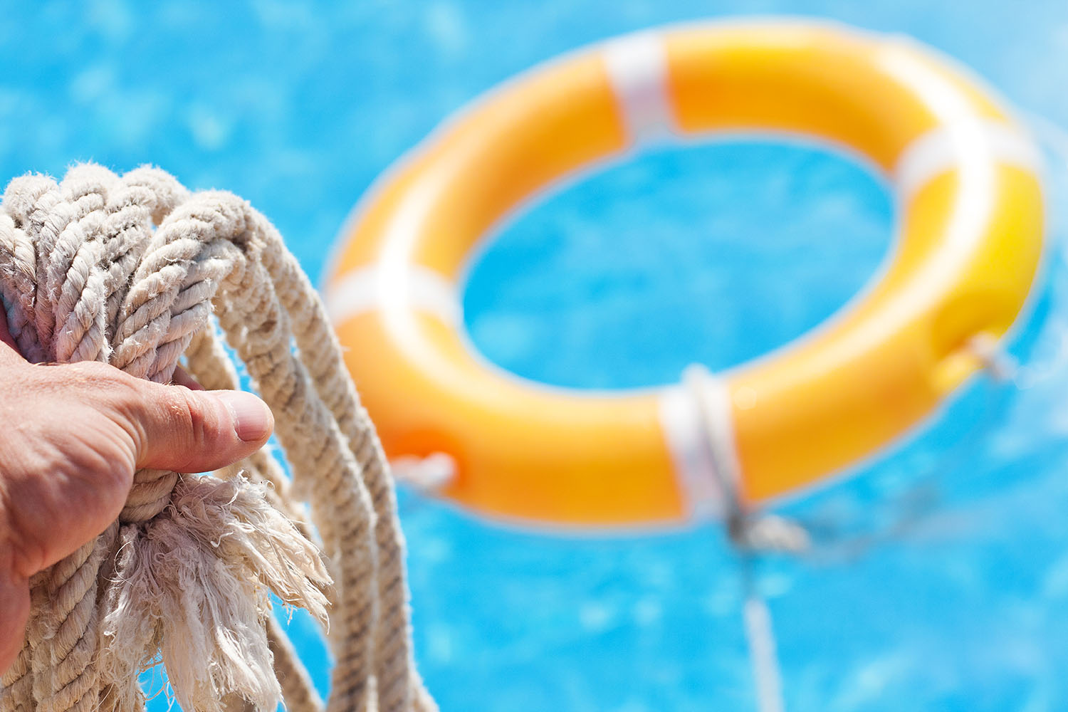 image of a life saver