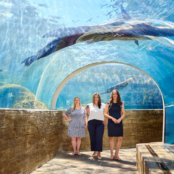 women standing inside sea lion tunnel at saint louis zoo